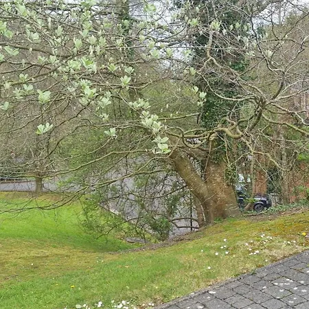 Дом отдыха Pinewood