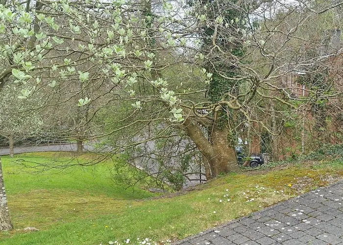 Сasa de vacaciones Pinewood