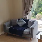 Pinewood Cork